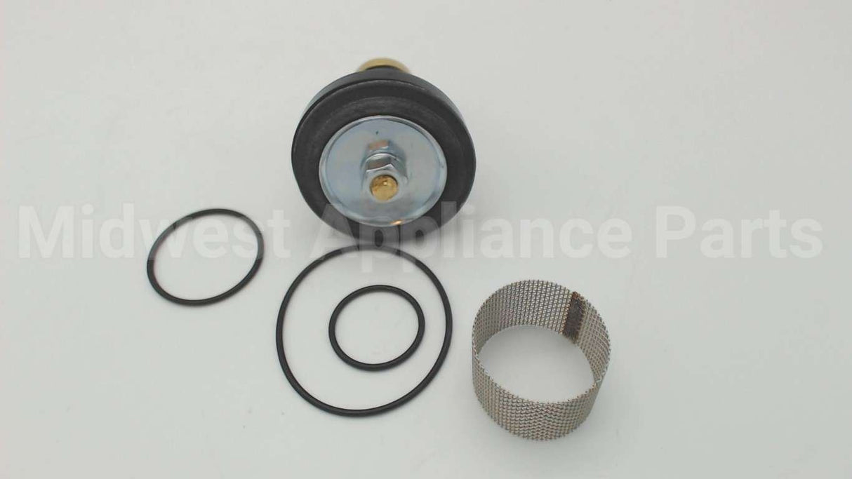 0006960 Watts N55B-Rk 1/2-1 Repair Kit
