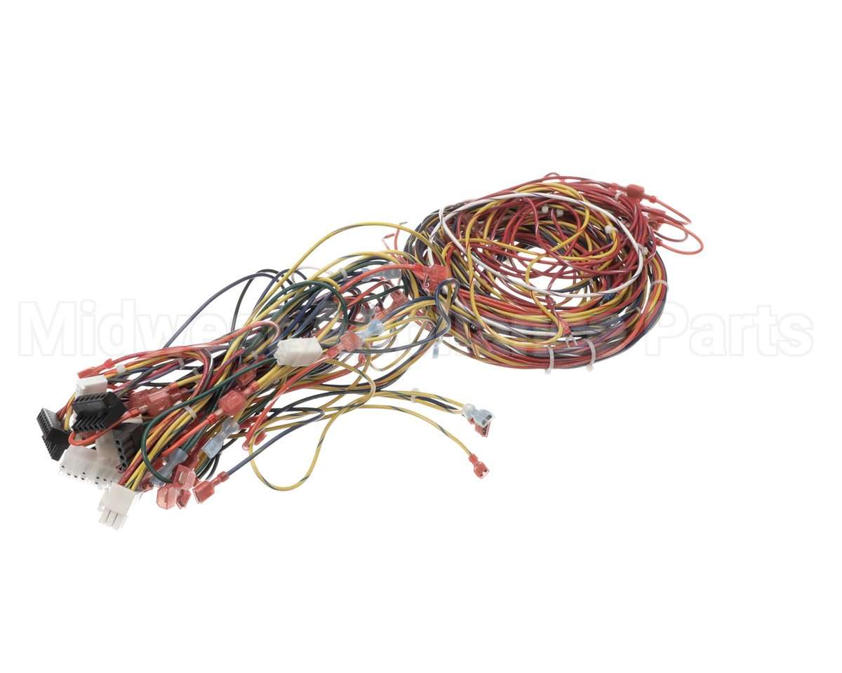 014680F Raypak Wire Harness