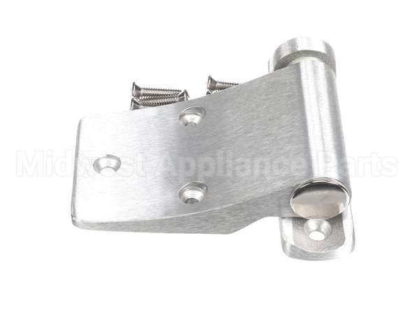 016589 Bally Hinge, Delivery Door, Lh D61/4