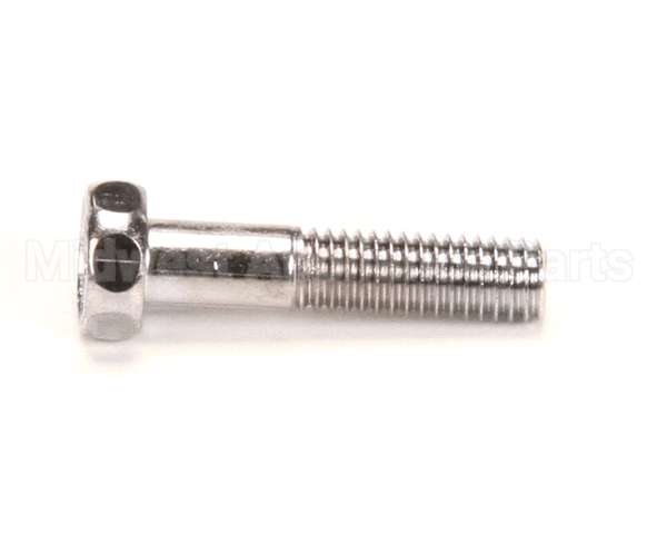 029990 Waring Screw /Grill