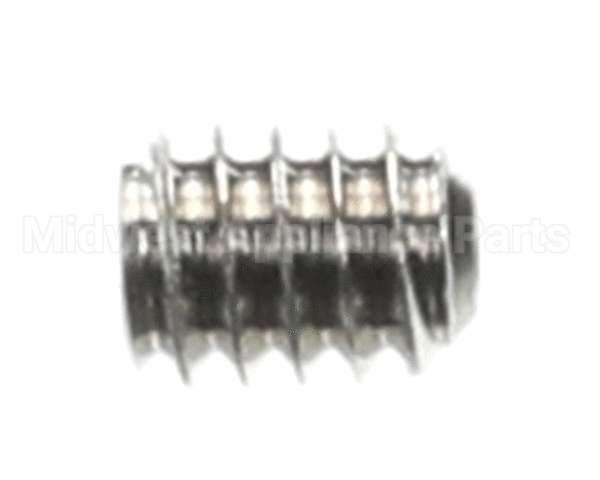 0501395 Champion - Moyer Diebel Screw, Socket 1/4-20X5/16 Ss