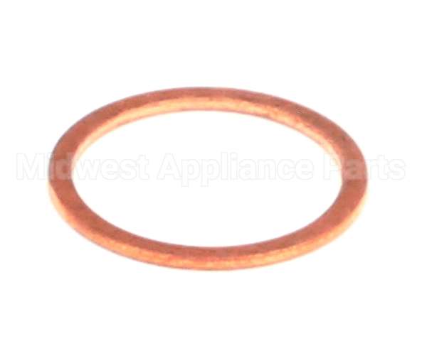 0502804 Champion - Moyer Diebel Gasket Strainer Cap S45 Valve