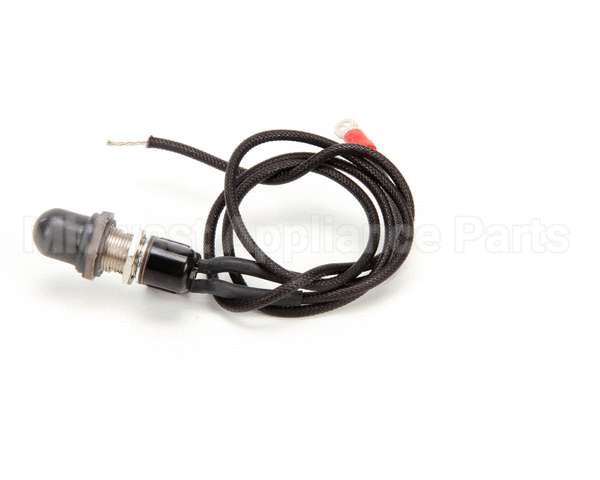 09891 Lakeside Rep Self-Leveling Elect Switch