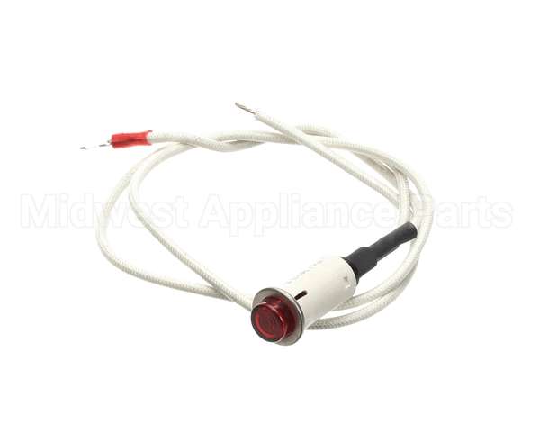 09917 Dinex Pilot Light