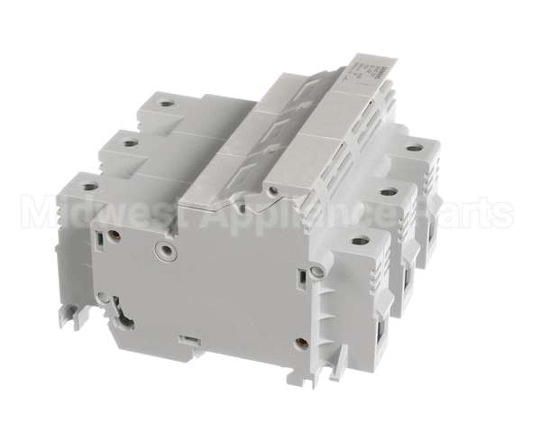 0C1487 Electrolux Professional Fuse Carrier