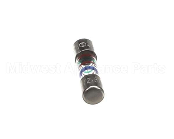 0C2953 Electrolux Professional Fuse, T 2,5A 250V