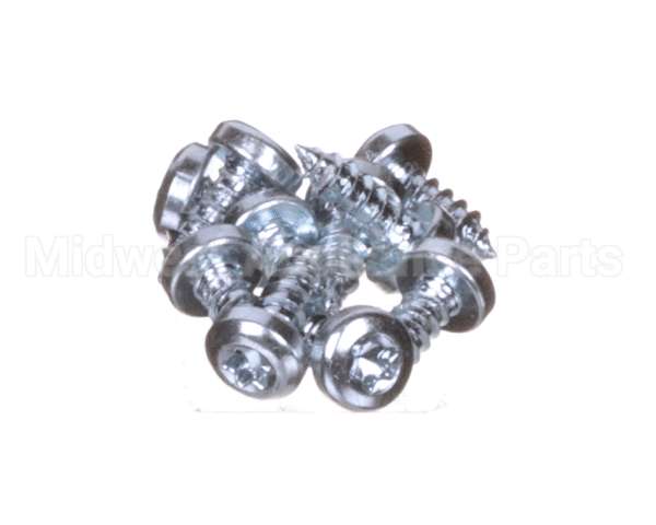 0D6250 Electrolux Professional Screw, Set 10Pcs