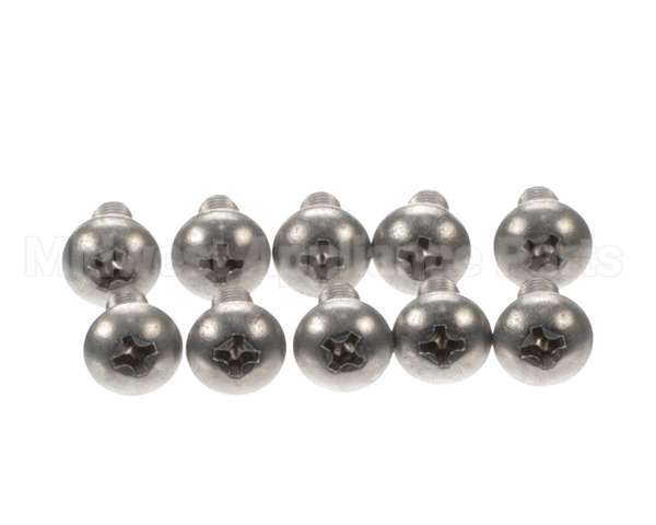 0L2513 Electrolux Professional Screw, Set 10Pcs