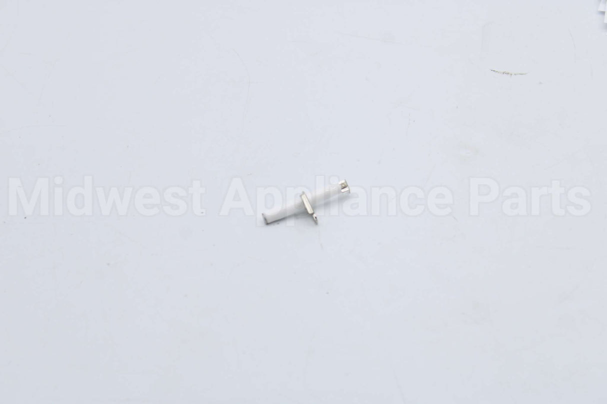 10004177 Bosch Electrode