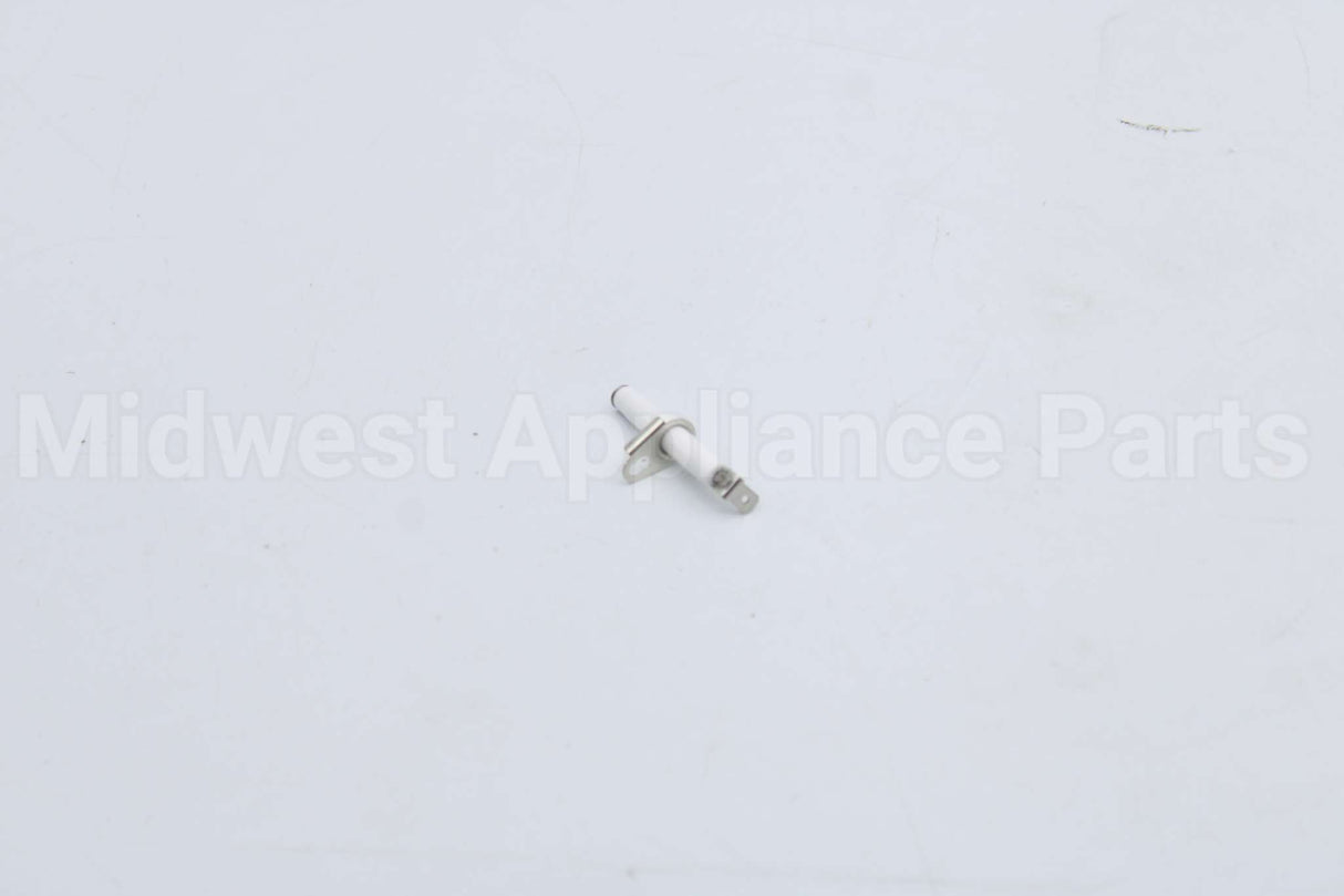 10004177 Bosch Electrode
