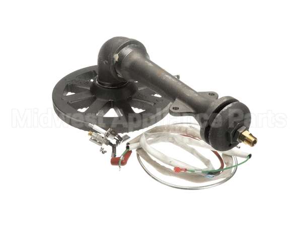 117090 Groen Asm Burner Sensor Ah/1E-40