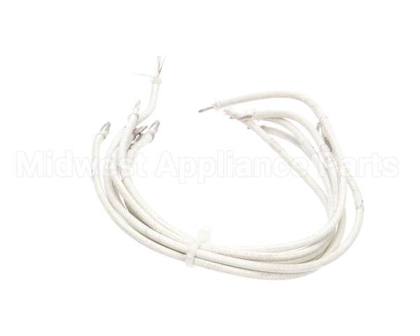 1177878 Southbend Range Element Leads, R2