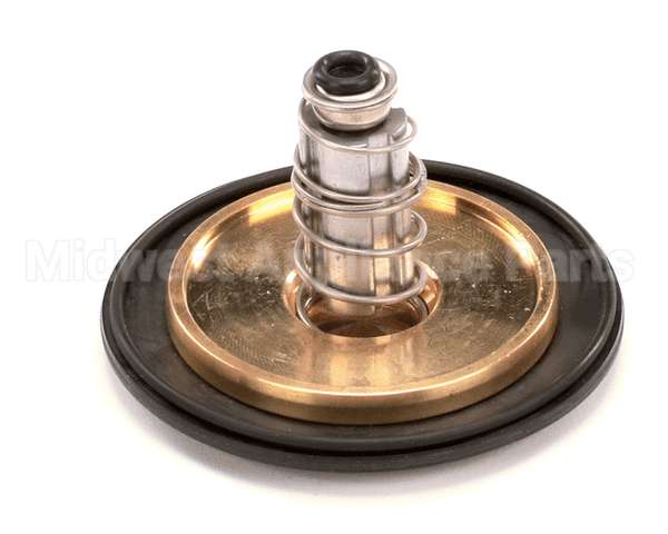 12041 Gaylord 1 Valve Repair Kit