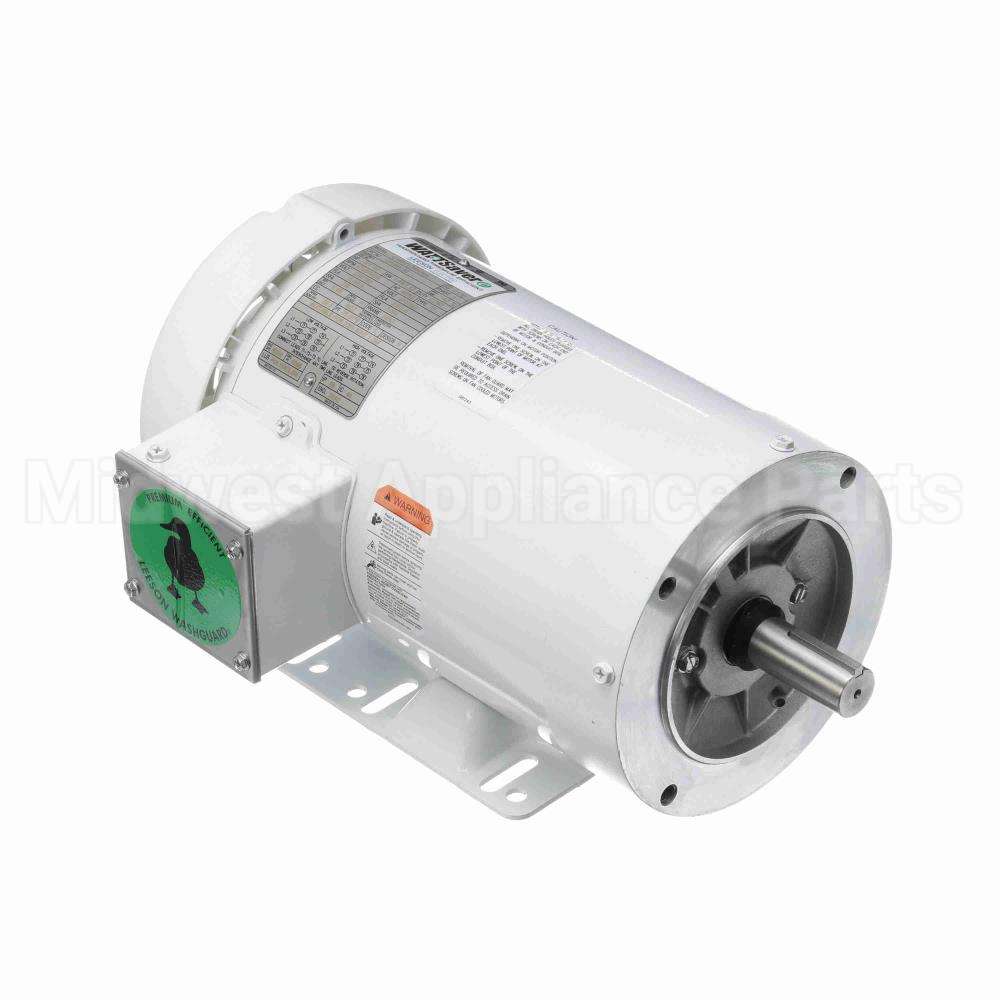 121868 Leeson Motor