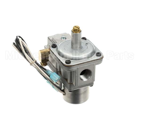 1754904 Garland Valve-Rt Basotrol Dual(G96)Lp
