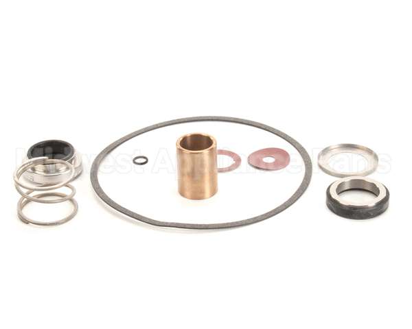 22462 Power Soak Systems Pump Seal Kit - Burks ( I )