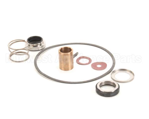 22462 Power Soak Systems Pump Seal Kit - Burks ( I )