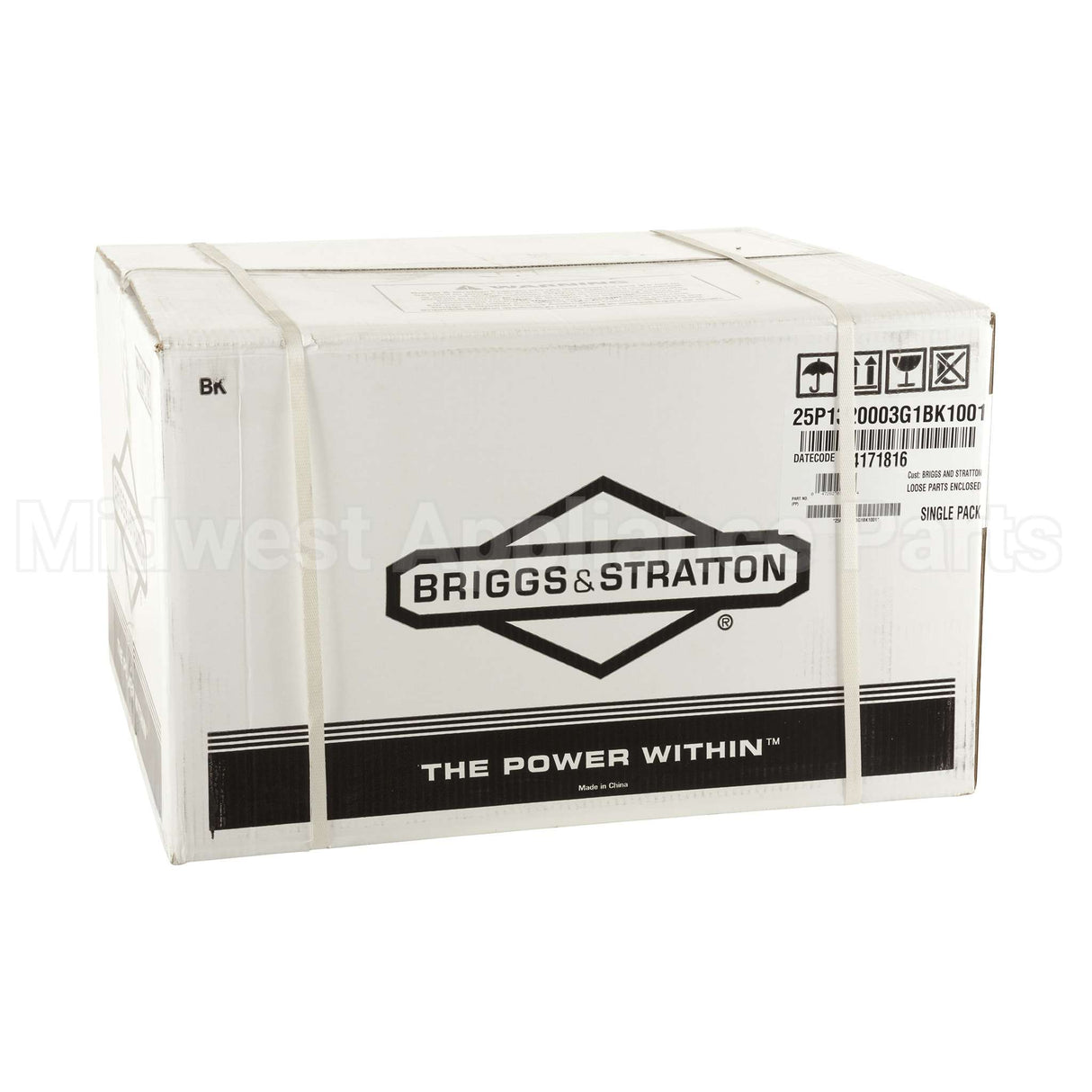 25P132-0003-G1 Briggs & Stratton Engine Packed Single Carton