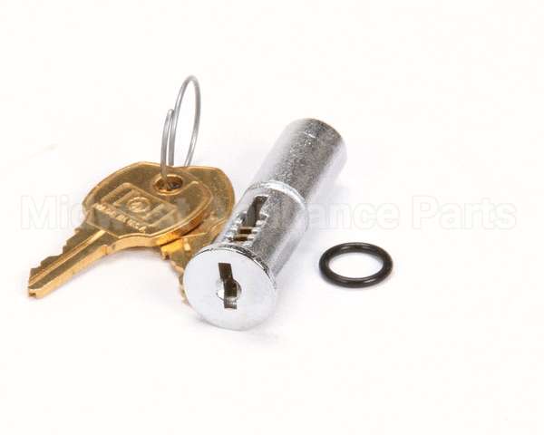 269315 Traulsen Lockplug Assembly