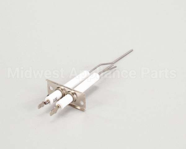 2J-80302-05 Lang Dsi Electrode Assembly