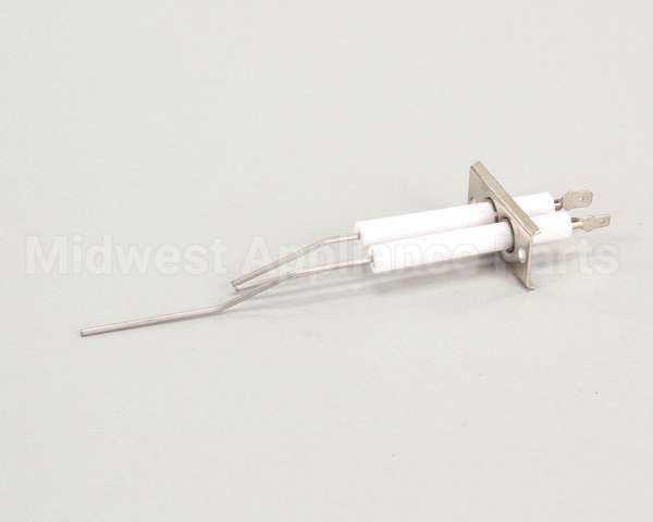 2J-80302-05 Lang Dsi Electrode Assembly