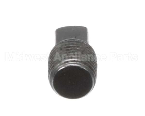 2K-70308-01 Lang Pipe Plug Reg 1/8 Npt Blk