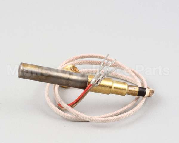 2T-42195 Wells Thermopile Fgs-40
