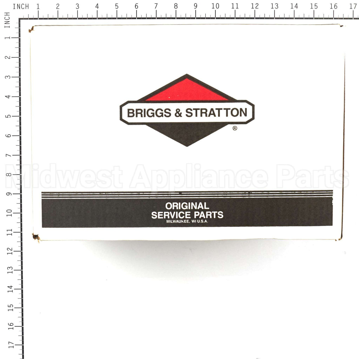311553GS Briggs & Stratton Pump