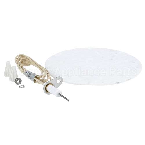 31251 Compatible Blodgett Ignitor