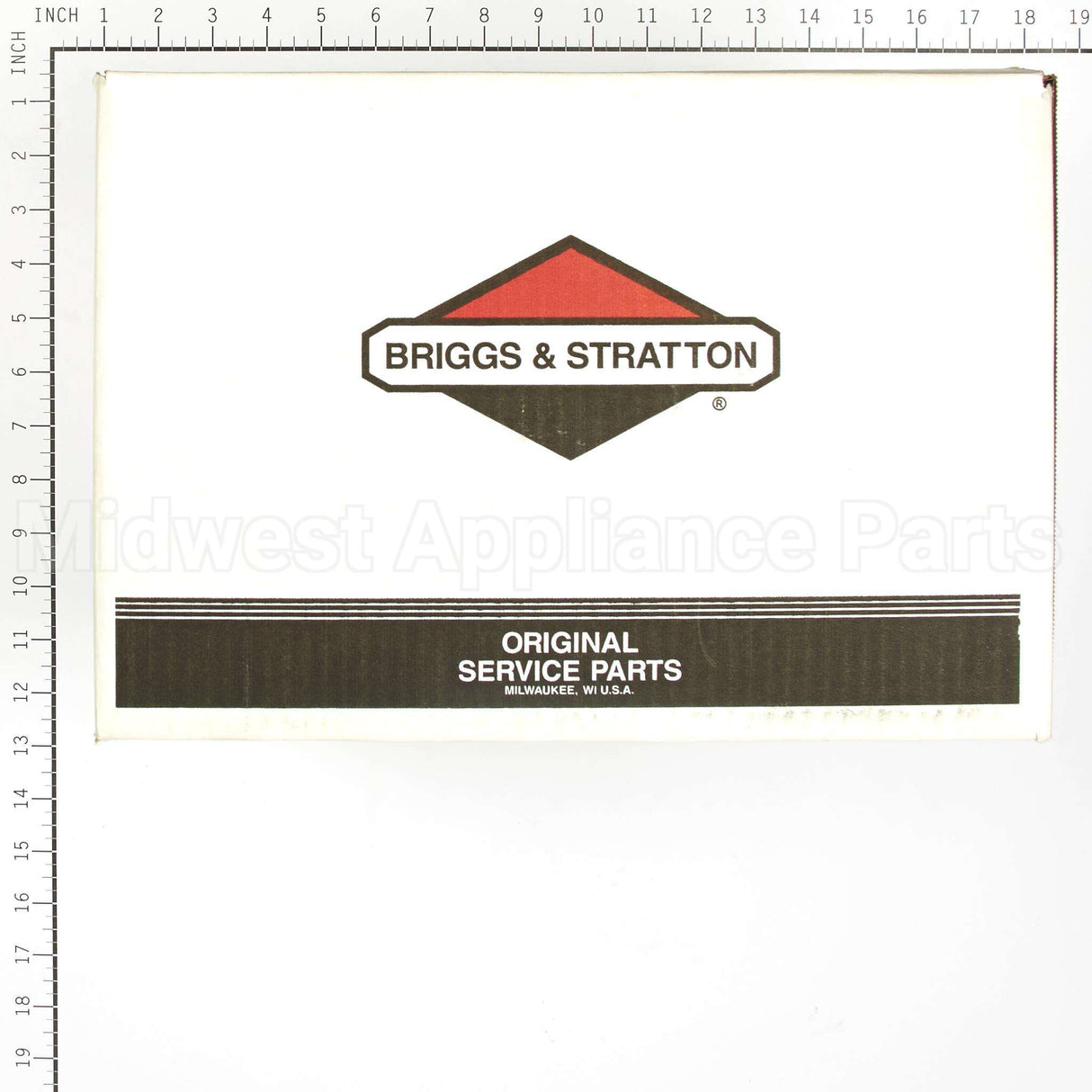 317055GS Briggs & Stratton Pump
