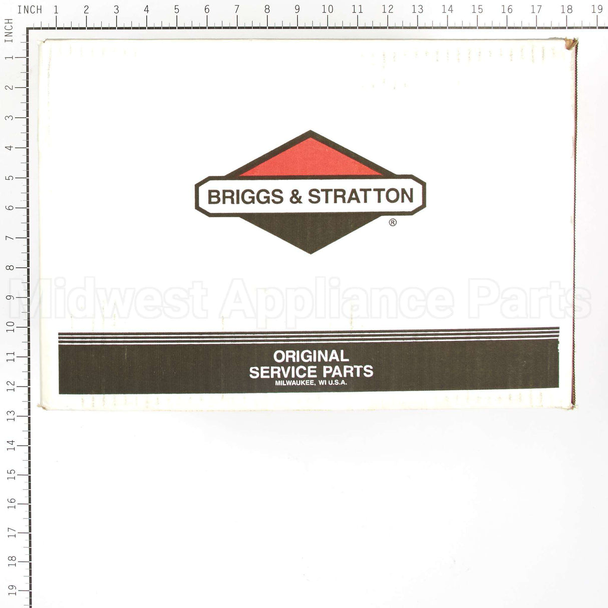 317259GS Briggs & Stratton Pump