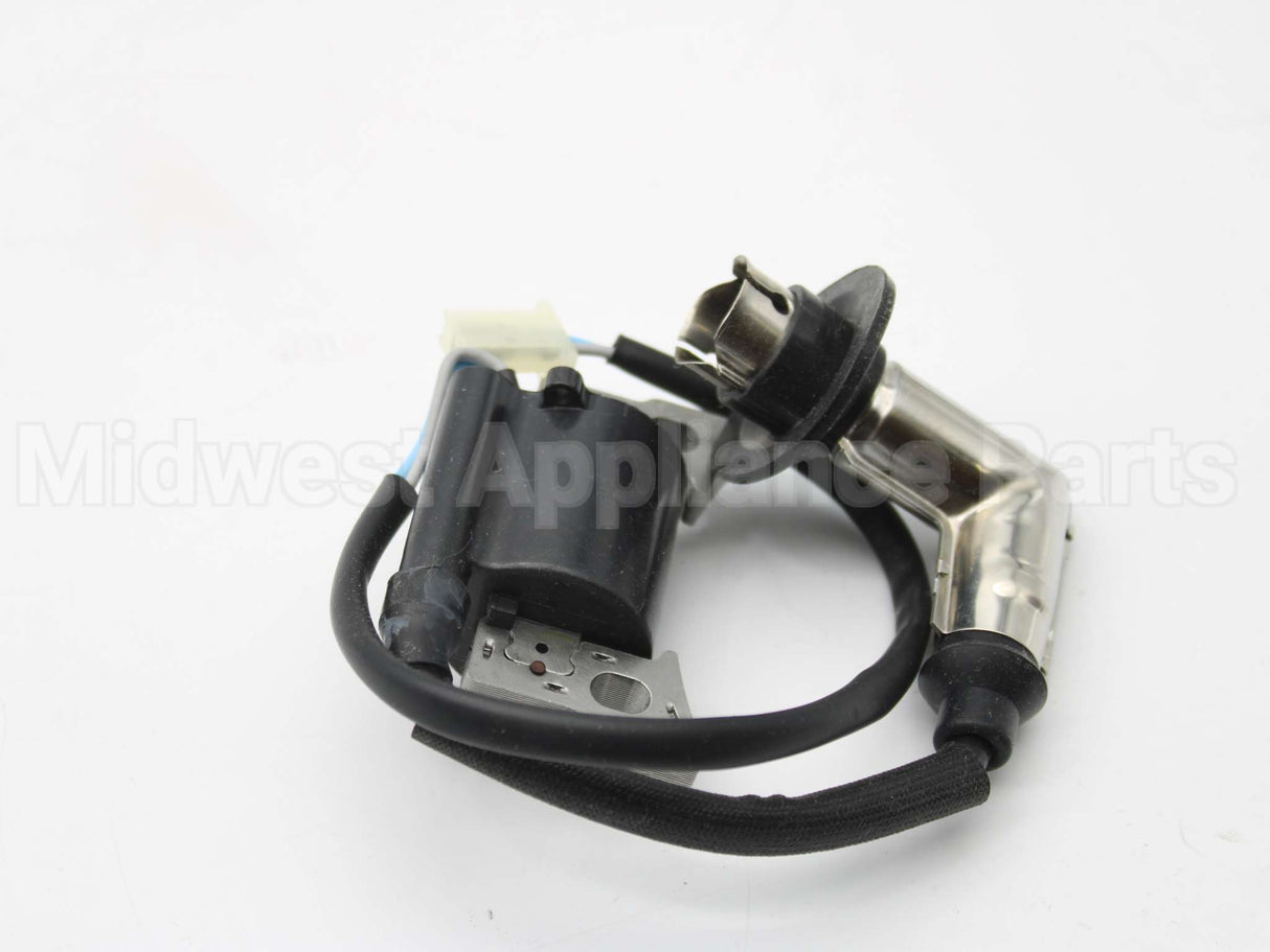 317436GS Briggs & Stratton Coil-Ignition