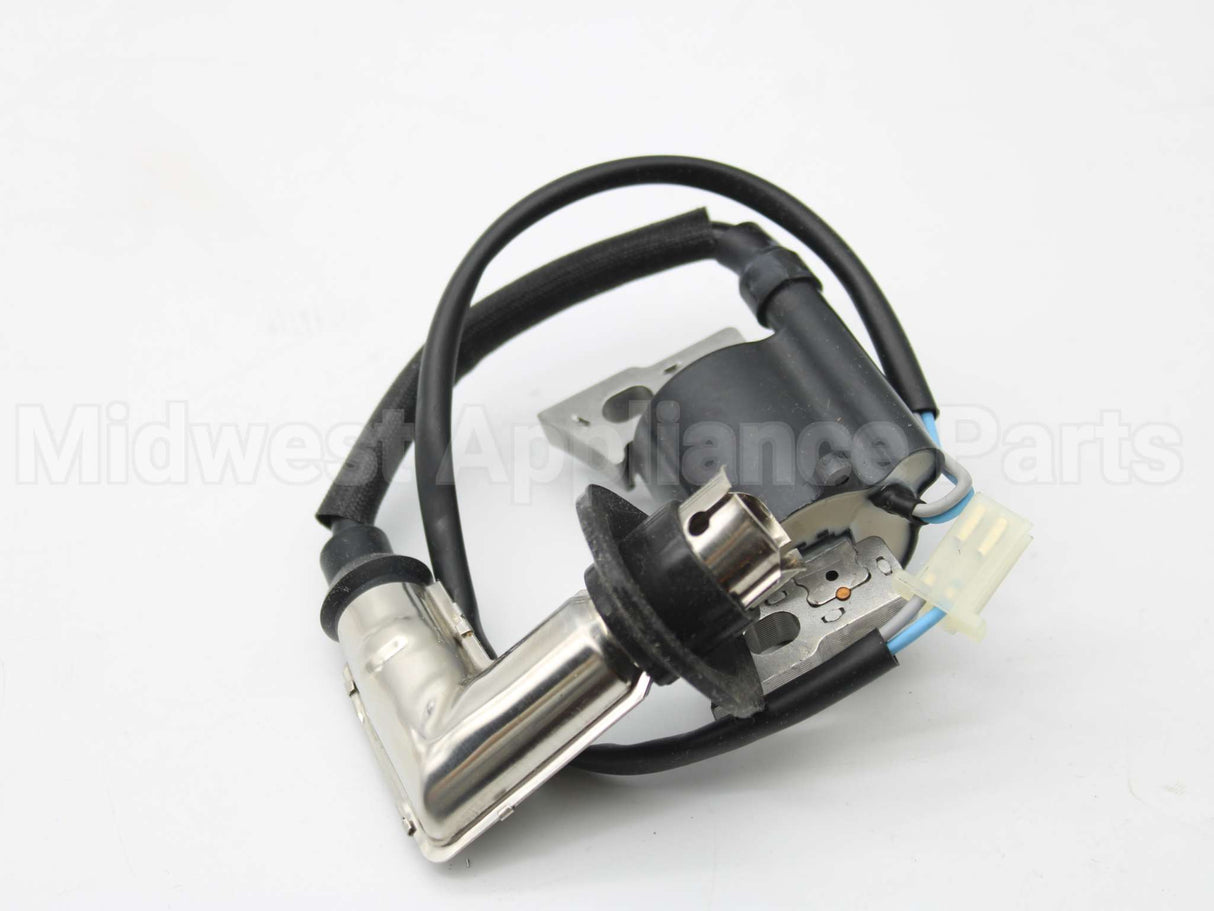 317436GS Briggs & Stratton Coil-Ignition