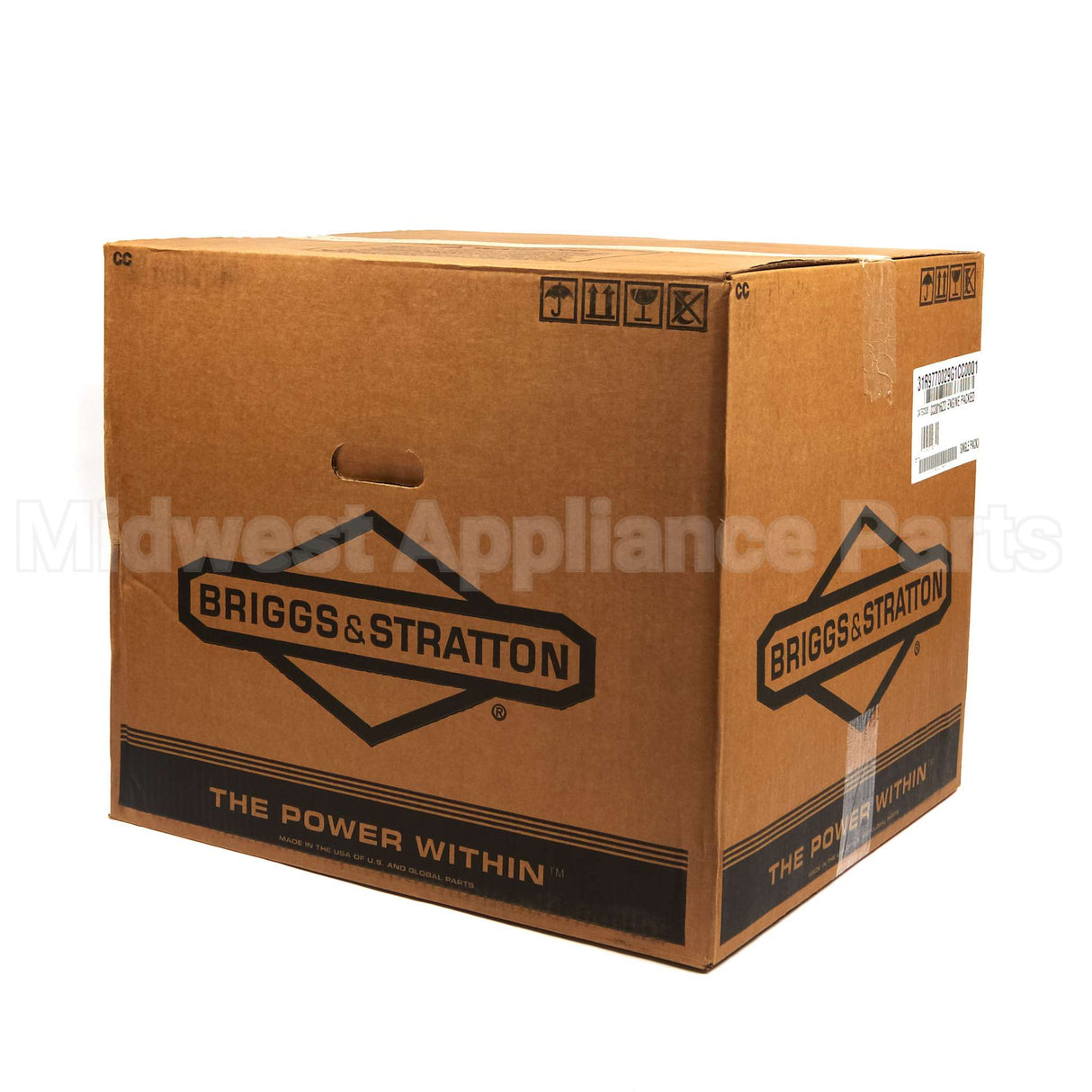 31R977-0029-G1 Briggs & Stratton Engine Packed Single Carton