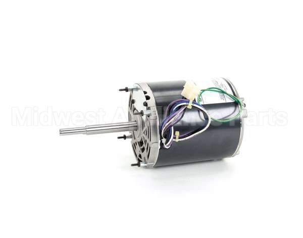 369539 Lincoln Motor 115V 2'' Gas