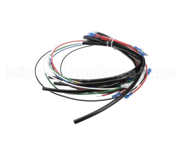 4204-16 Crown Steam Wire Harness