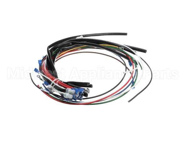 4204-16 Crown Steam Wire Harness