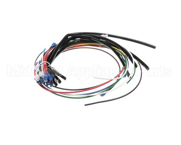 4204-16 Crown Steam Wire Harness