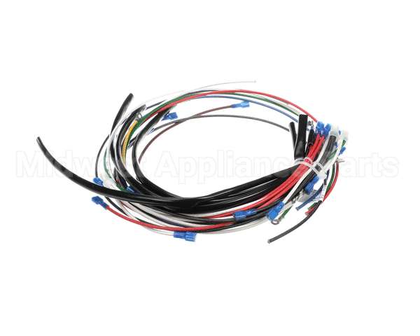 4204-16 Crown Steam Wire Harness