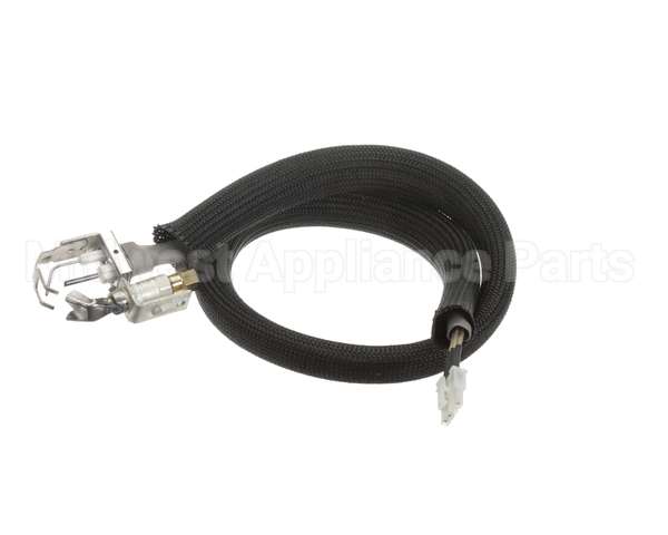 455946 Legion Pilot Burner Ignitor Sensor