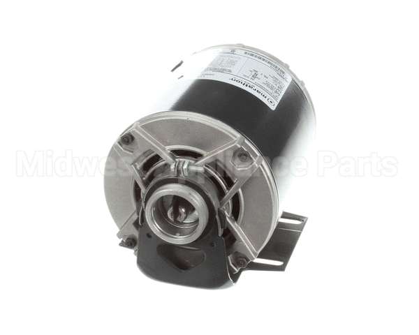 5009598 Multiplex Motor Carb Pump 120V Or 220V