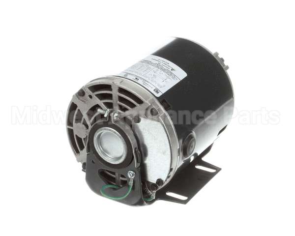 5009598 Multiplex Motor Carb Pump 120V Or 220V