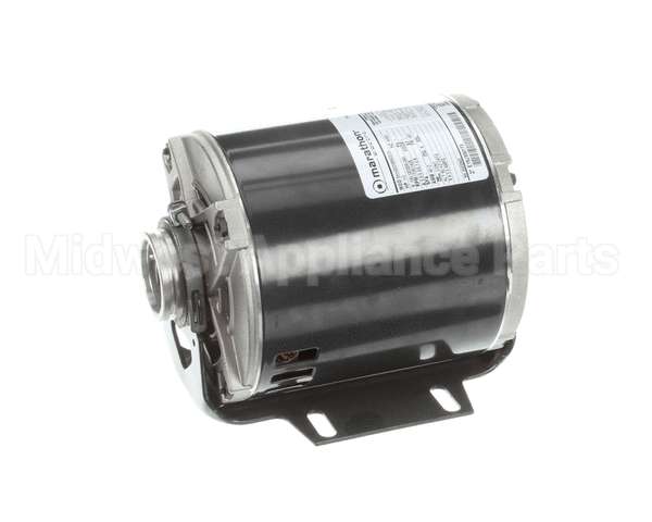 5009598 Multiplex Motor Carb Pump 120V Or 220V