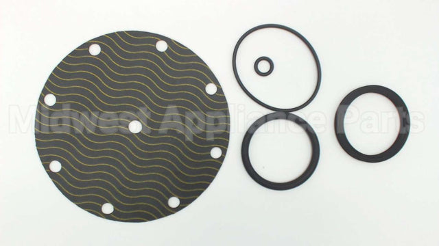 5346-01 Watts Repair Kit For 2" 116Xy