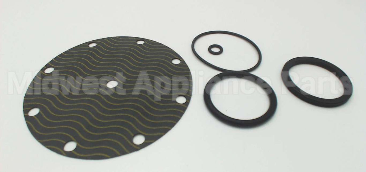 5346-01 Watts Repair Kit For 2" 116Xy