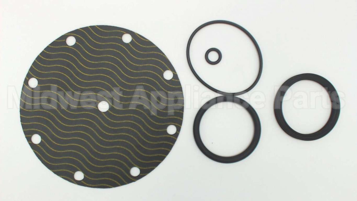 5346-01 Watts Repair Kit For 2" 116Xy