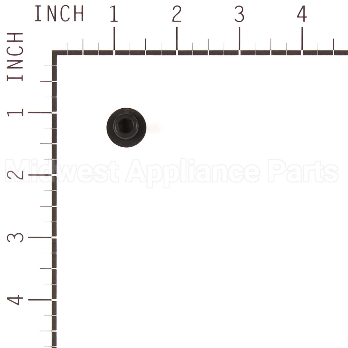 555644 Briggs & Stratton Screw