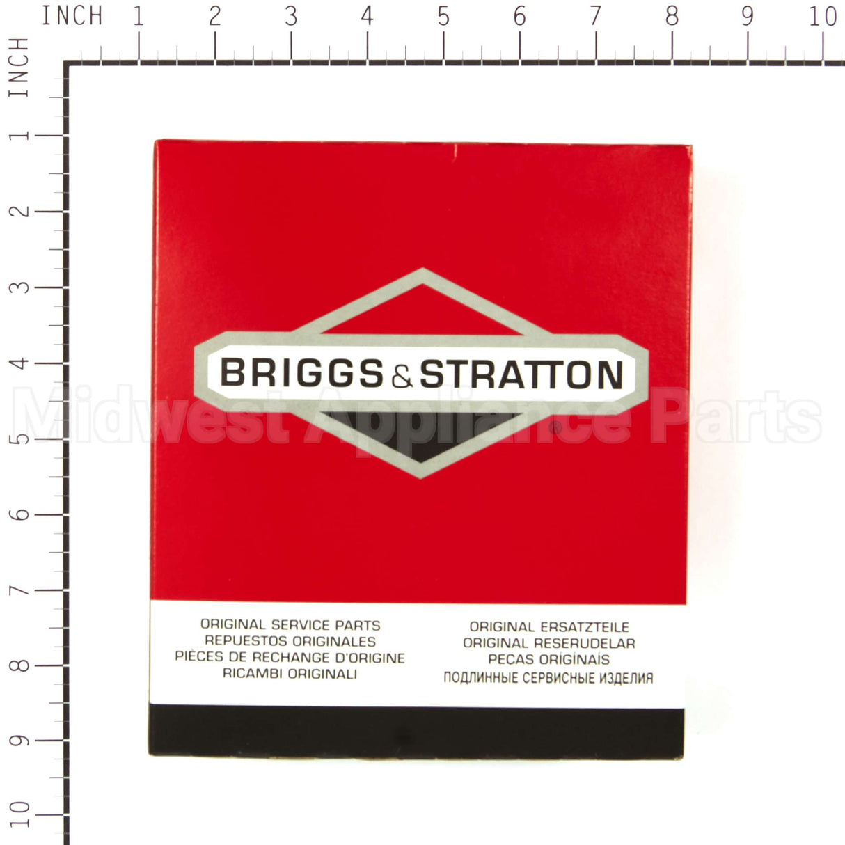 555699 Briggs & Stratton Panel