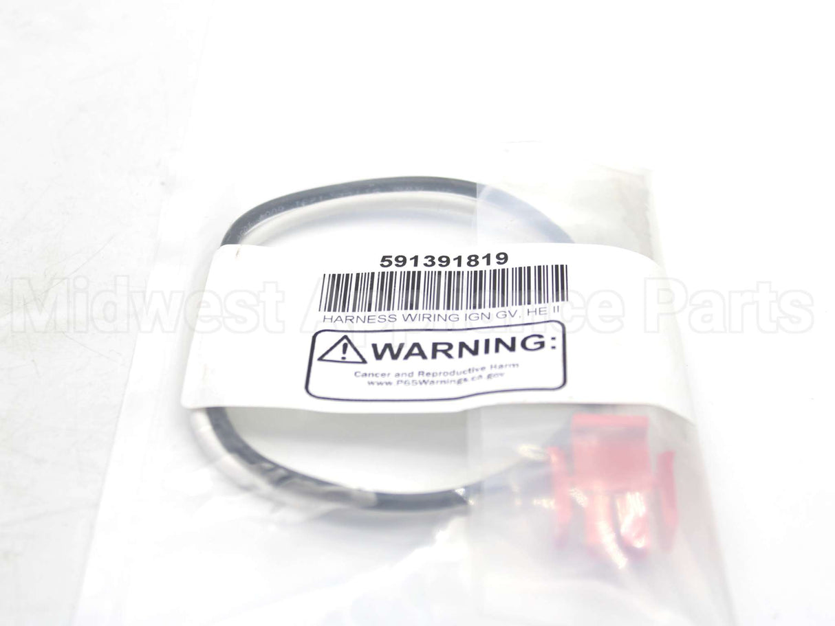 591-391-819 Weil Mclain Ignitor Wiring Harness