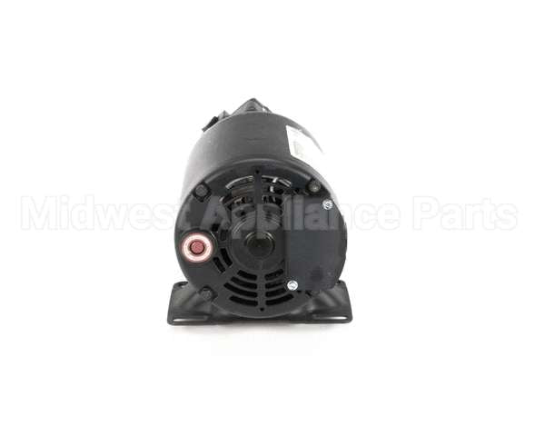 60130802 Pitco Pump,8Gpm Assembly .3Hp 240V 50Hz